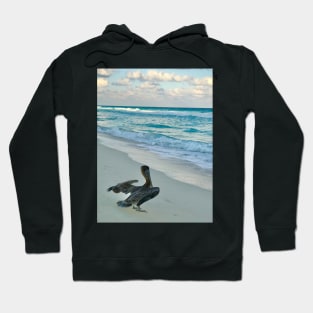 Grey Pelican in Mexico Hoodie